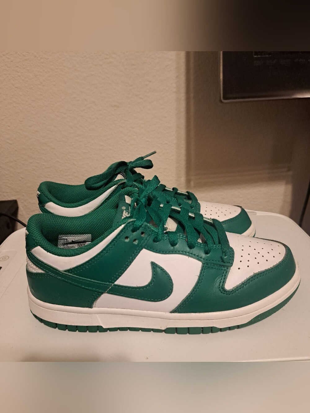Nike Dunk Low Sz.5.5Y